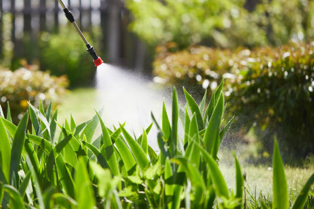24/7 Emergency Mosquito Control experts in Cape St. Claire, MD