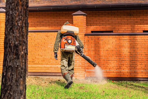 Top rated local Mosquito Control specialists in Cape St. Claire, MD